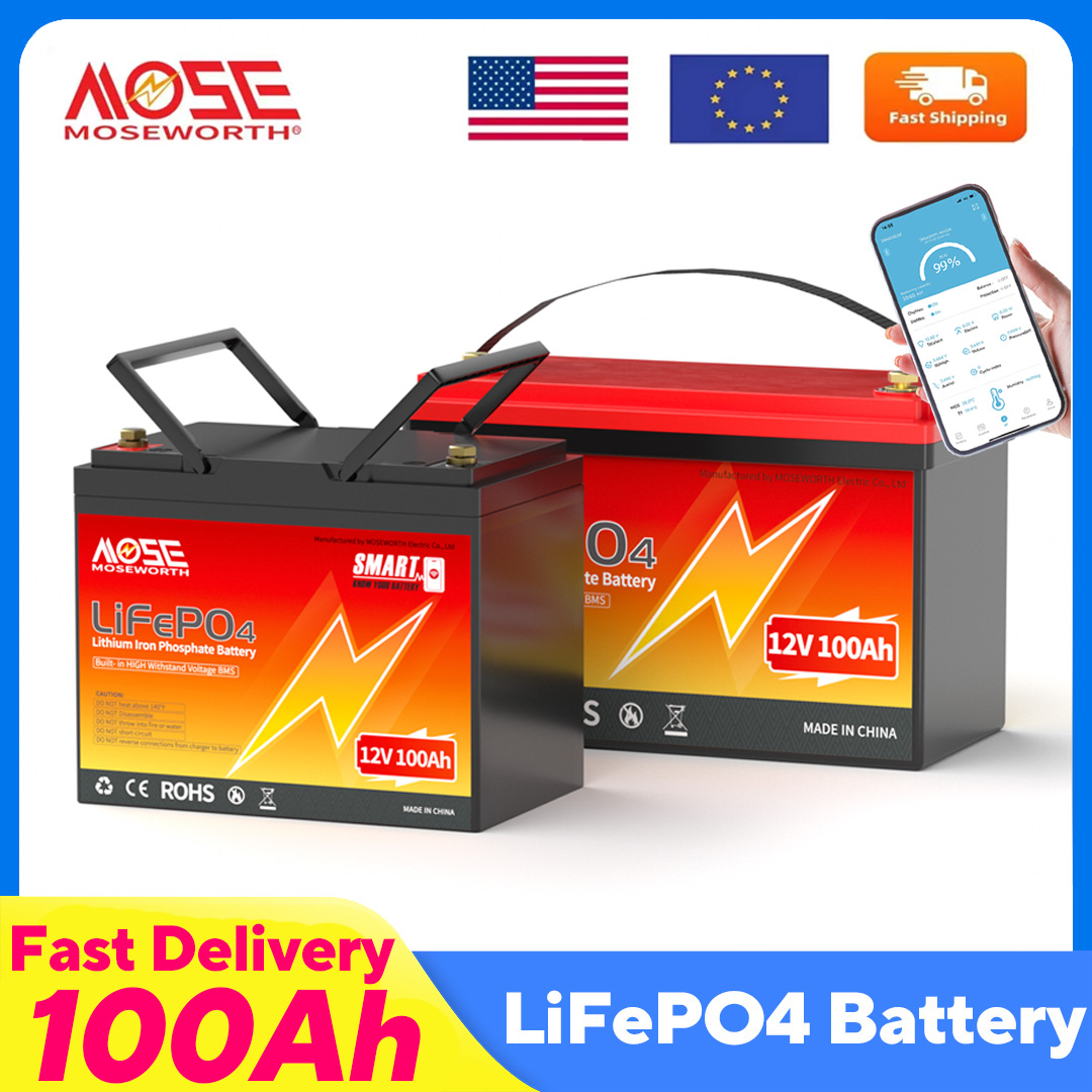 Lifepo4 12V 100Ah Bms Bluetooth - MOSEWORTH LiFePO4 12V 100Ah batterij 12,8V